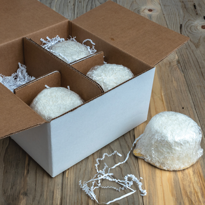 Coconut Bomb 4 Pack